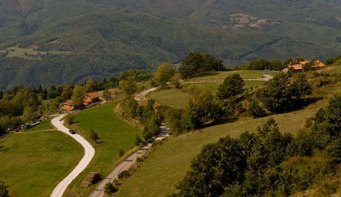 Agriturismo Il Serrino 圣马尔切洛皮斯托耶塞 外观 照片